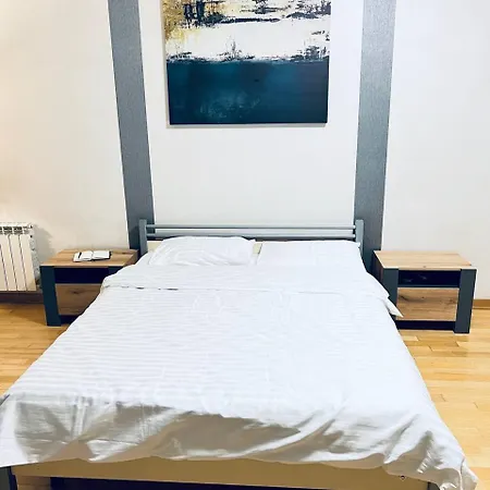 Tsekhova 1 Street Appartement *
